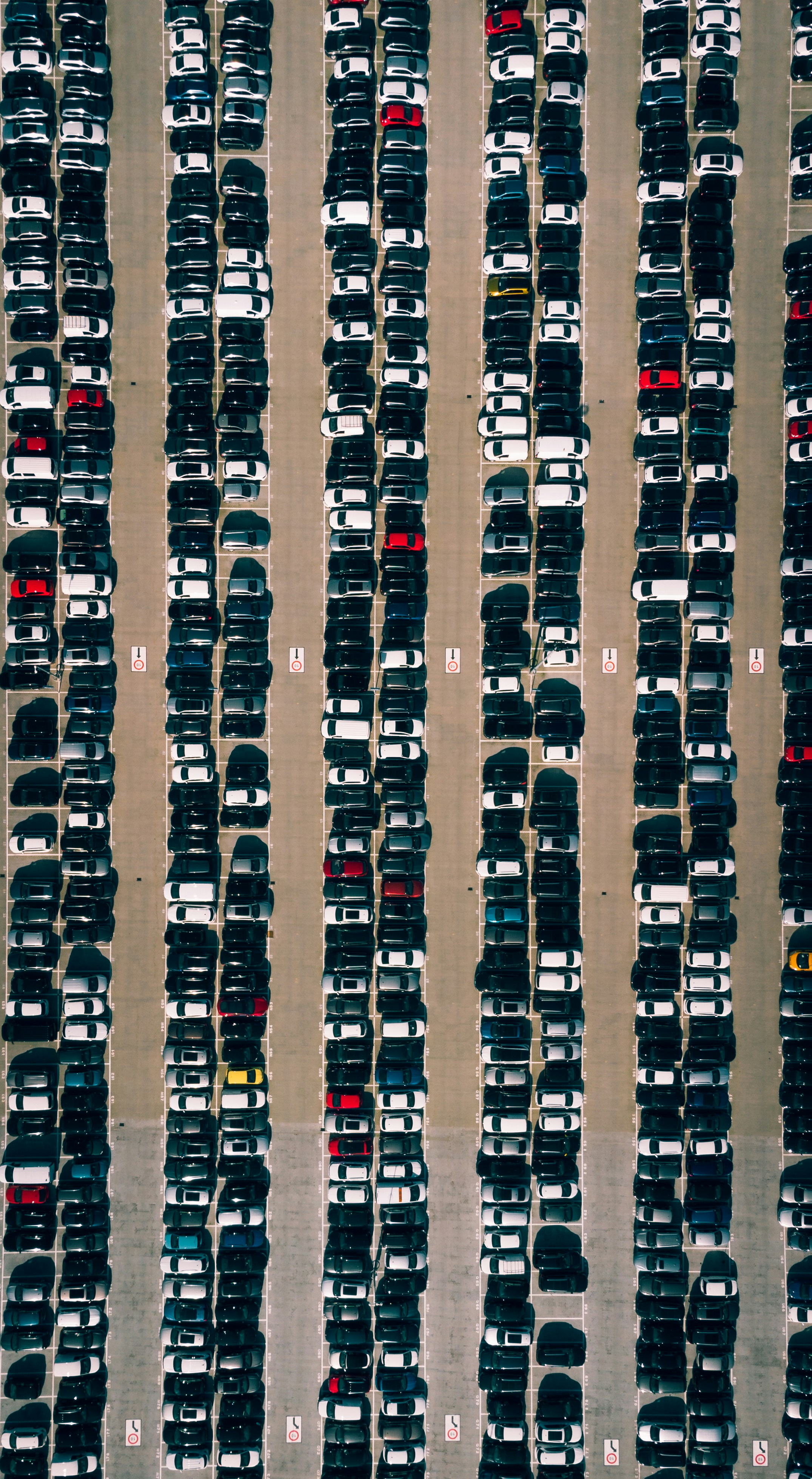 Profissionalismo Izzycar